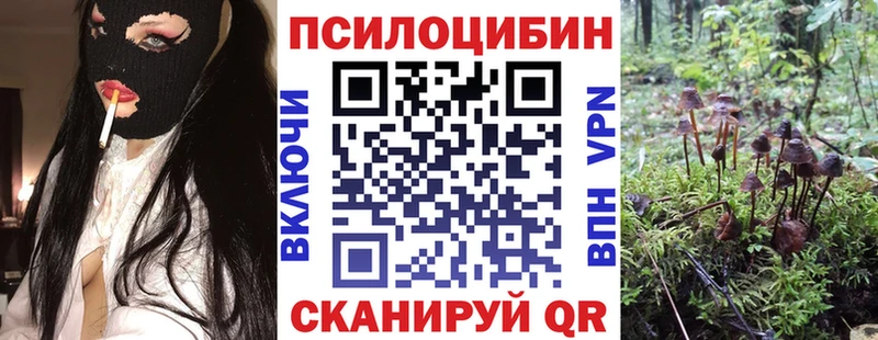 Псилоцибиновые грибы прущие грибы  OMG ссылки  Холмск 